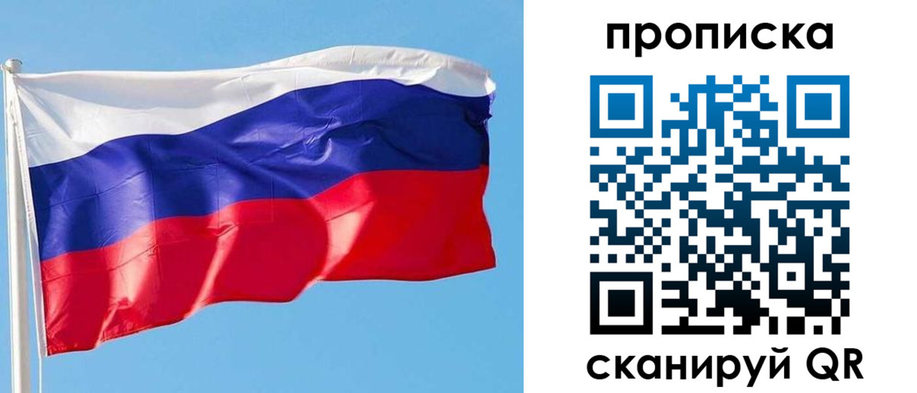 прописка поиск в Клинцах